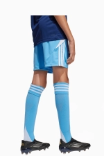 Шорты adidas Tiro 24 Junior - голубой