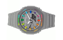 CASIO Men Liquid Crystal/Analog Dual Display Series Gray Watch GA-2100-1AERD