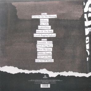 Babyshambles / Shotter's Nation (LP)