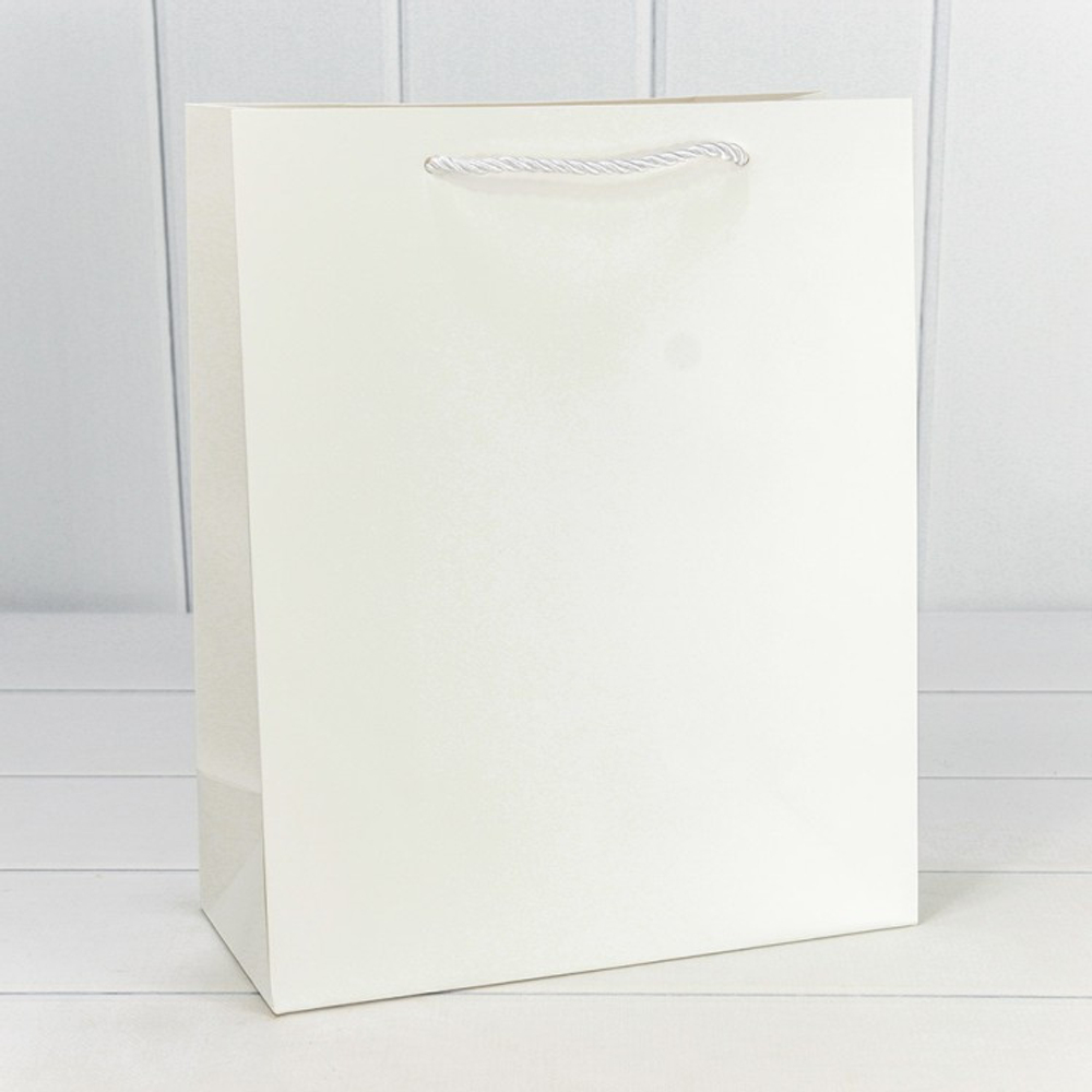 Пакет подарочный 18х23х10см "Фактура" (Белый)