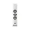 Focal On Wall 301 White