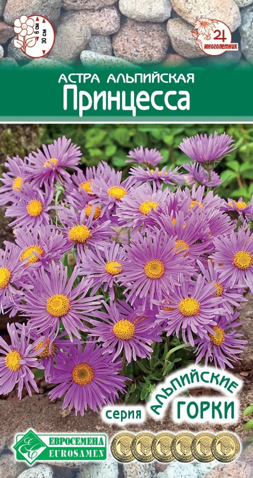 Астра альпийская Принцесса