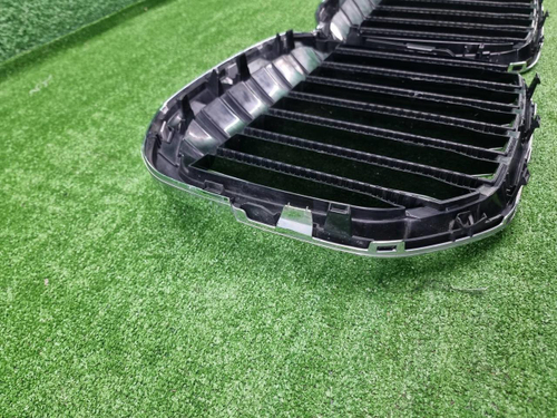 Решетка радиатора BMW X7 G07 (2019-2022)