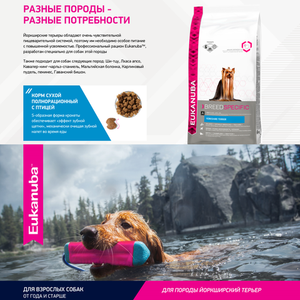 Сухой корм Eukanuba Dog Yorkshire Terrier для взрослых собак породы йоркширский терьер от года