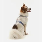 Анатомическая шлейка Midnight Safari