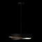 Подвесная люстра Loft IT Petale 10256P Black