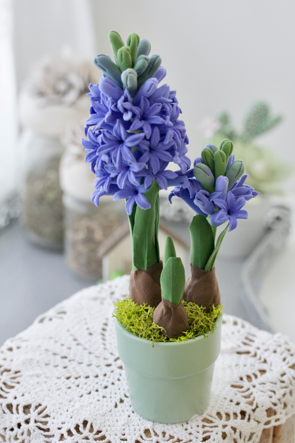 Гиацинт в подарок к празднику