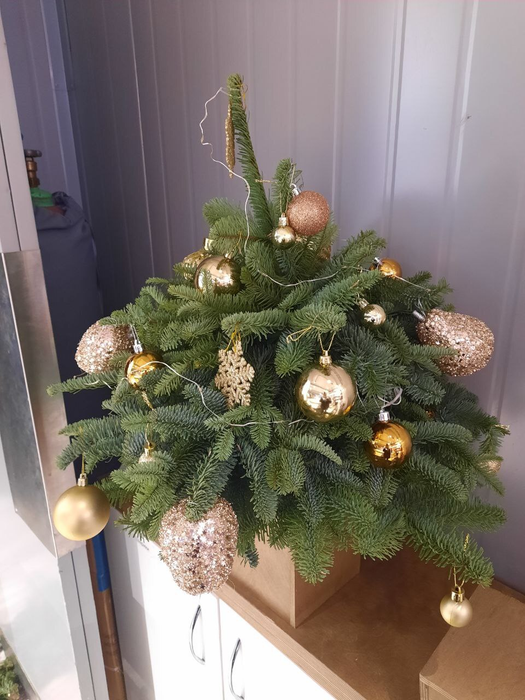 Композиция "Золотая ель"