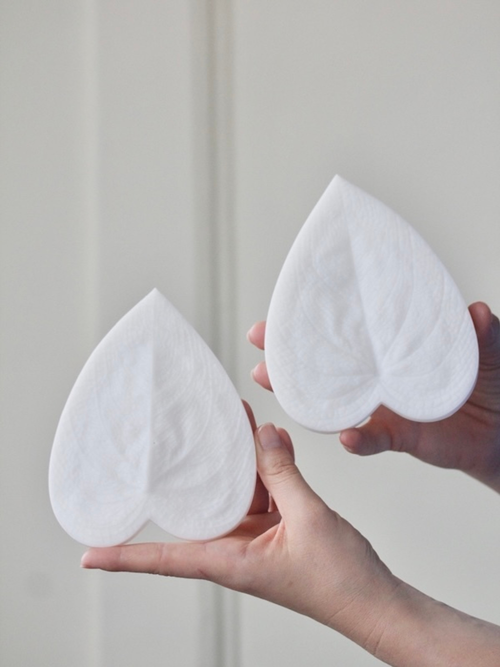 Вайнер лист Каладиума ClayCraft by DECO™