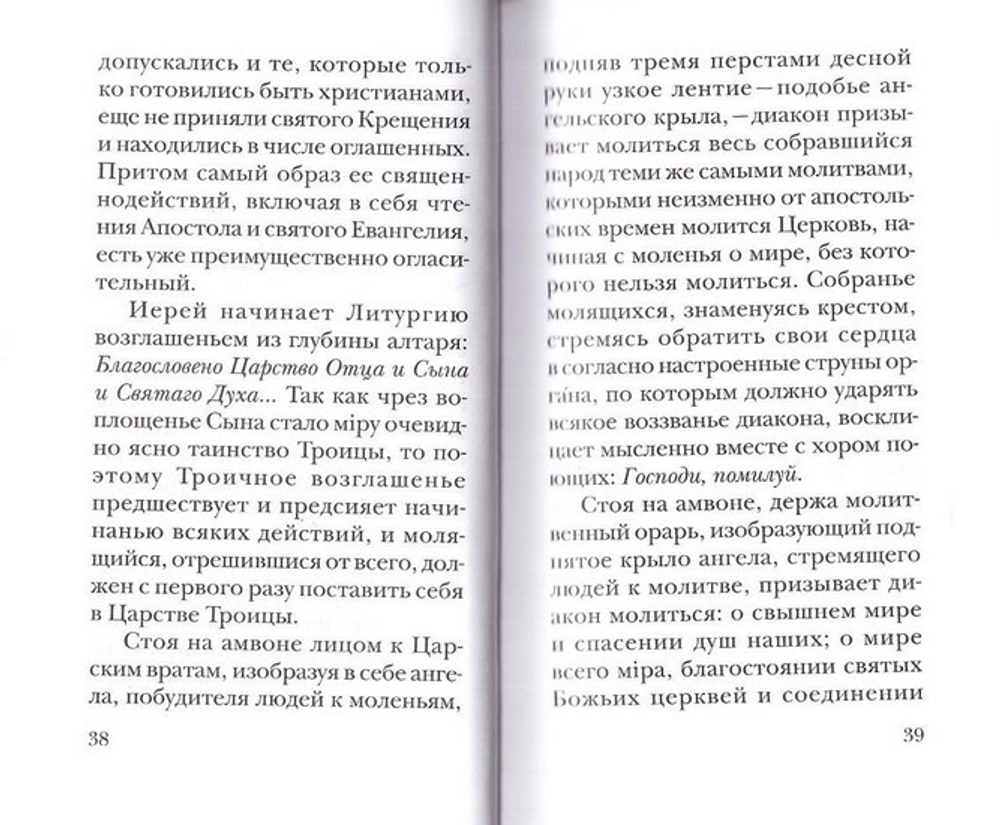 Размышления о Божественной Литургии. Н. В. Гоголь