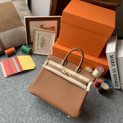 Hermes Birkin 25