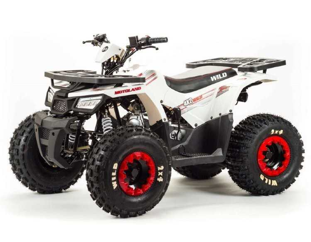 Квадроцикл MOTOLAND 125 WILD BASIC A