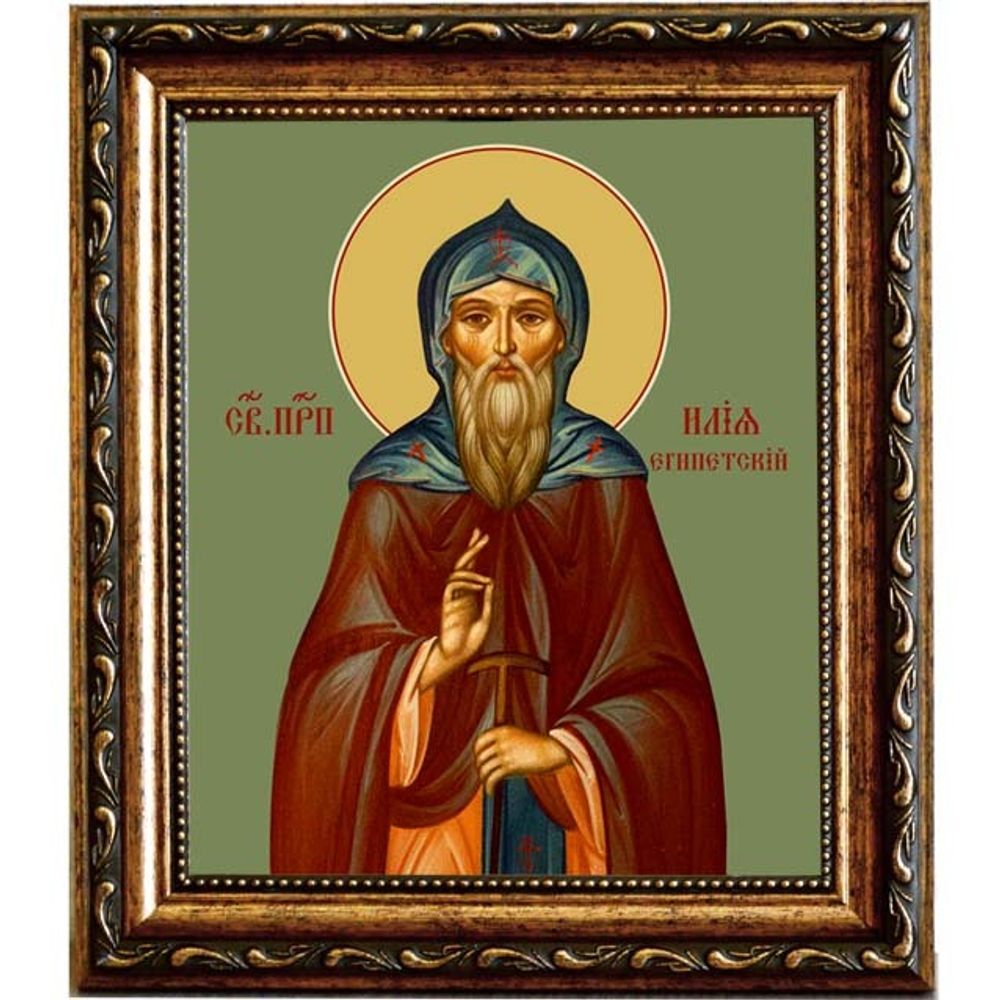 Илия Египетский, пустынник преподобный. Икона на холсте.