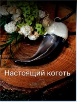 Амулет Коготь Медведя