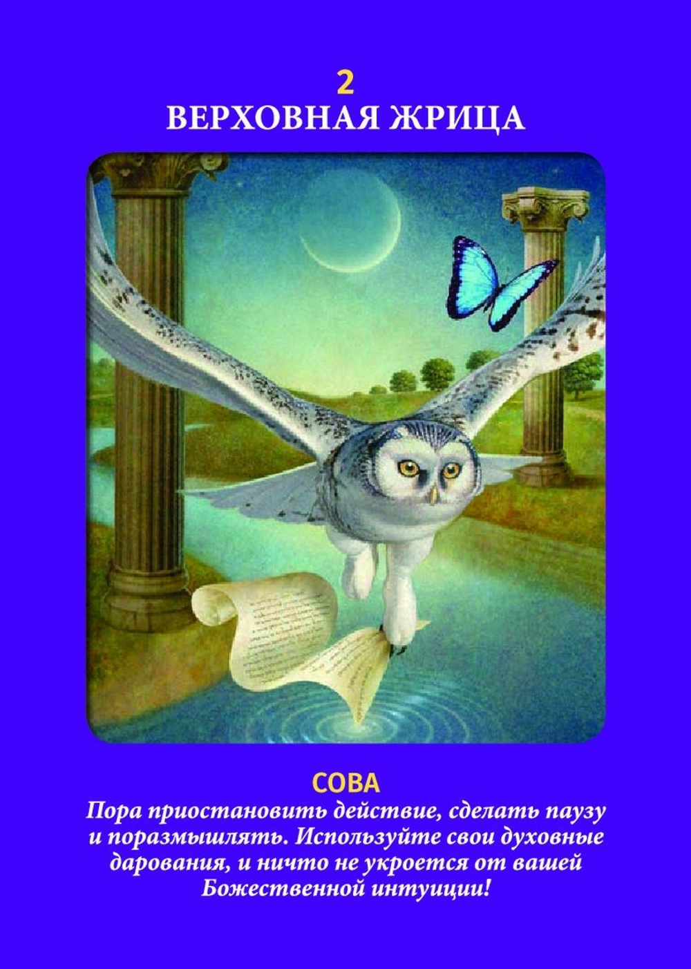 Таро Животных