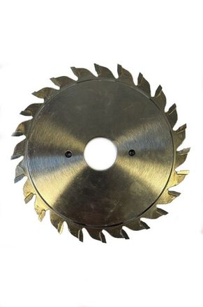 Dorigo