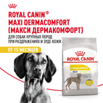 Royal Canin Maxi Dermacomfort Корм сухой для взрослых собак крупных размеров 3кг