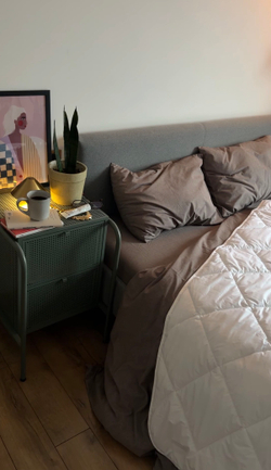 Одеяло всесезонное "Термофайбер РБ (тик)" 300 гр/м2 ЕВРО