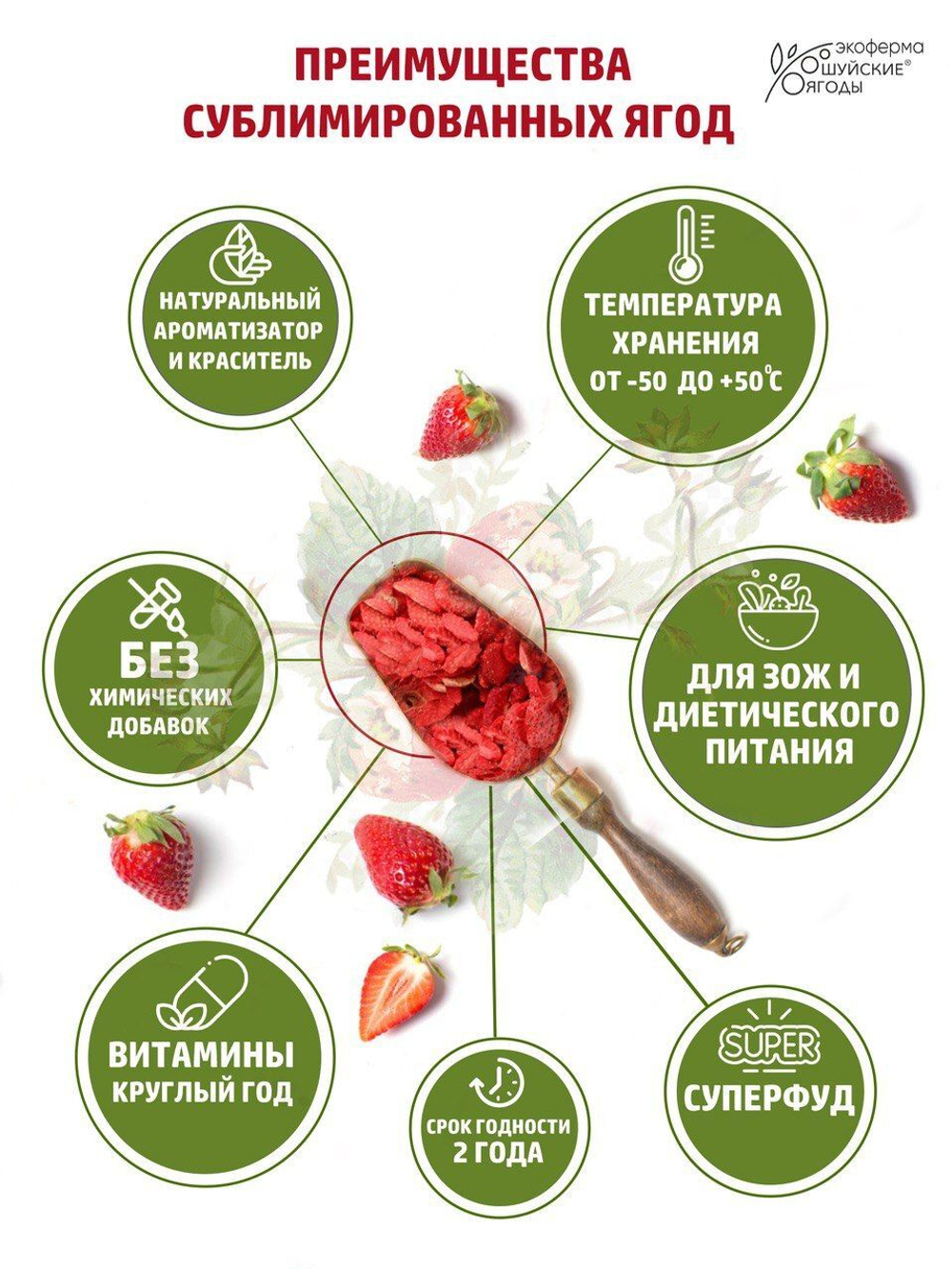 Слайсы клубничные натуральные сублимированные без сахара и консервантов, 15г