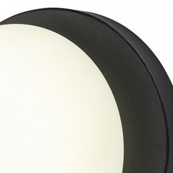 Накладной светильник Escada METEOR 10273/1LED Black