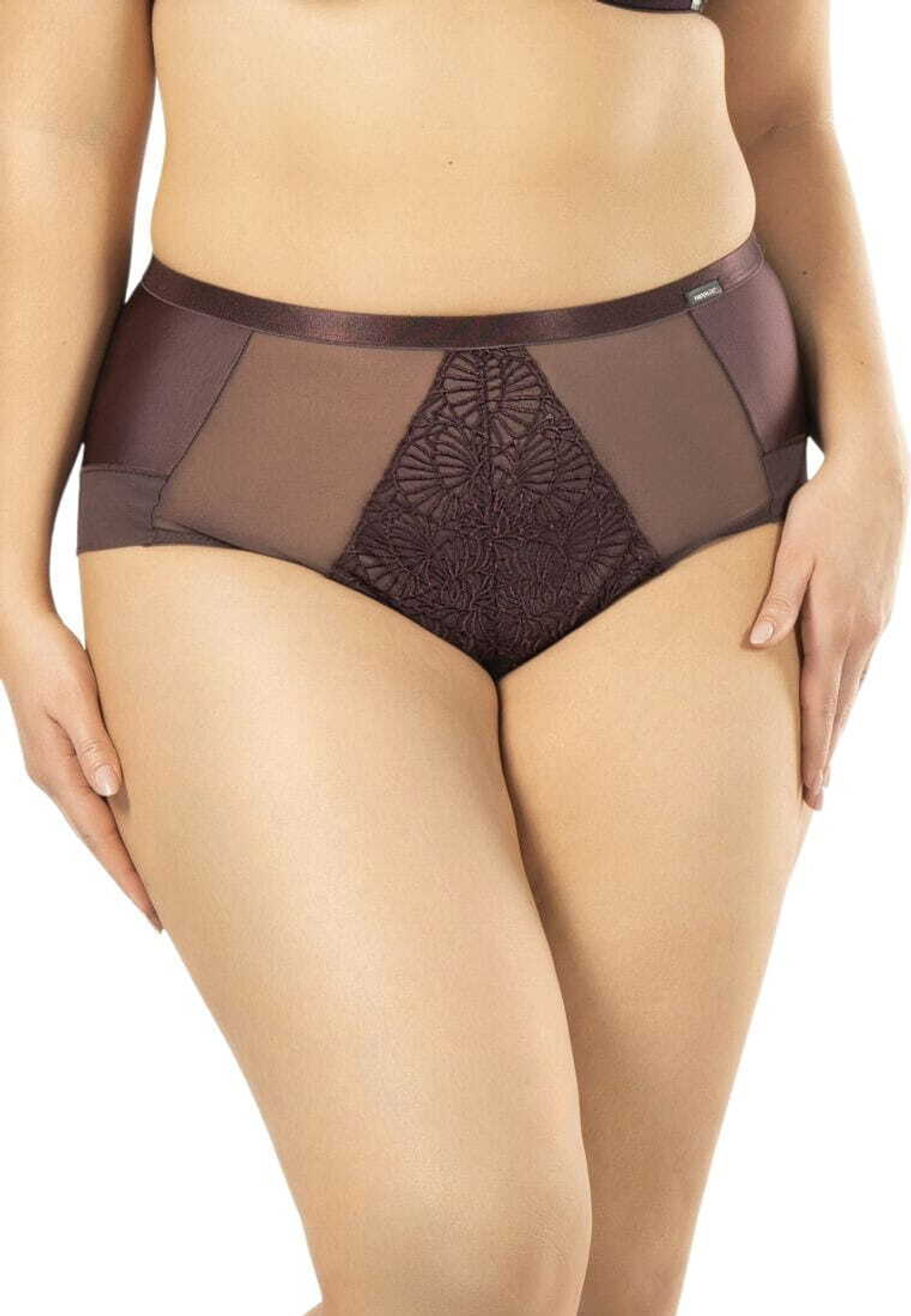 Трусики-слипы Daisy с завышенной линией талии (Размер: S) (Цвет: сливовый)