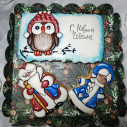 Сова №16 В шапке