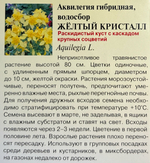 Аквилегия Желтый кристалл 0,05 г СМЦ-358