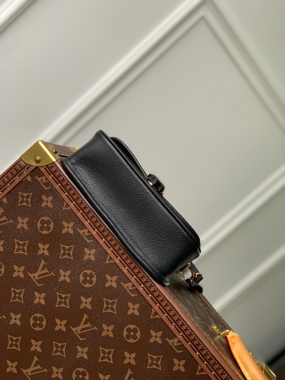 Louis Vuitton Nano Diane