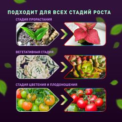 Настольный светильник для растений ЭРА FITO-20W-QLED-W полного спектра 20 Вт белый | Интерьерные фито светильники