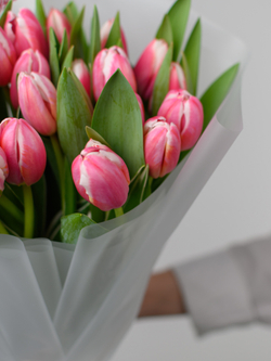 Тюльпаны микс