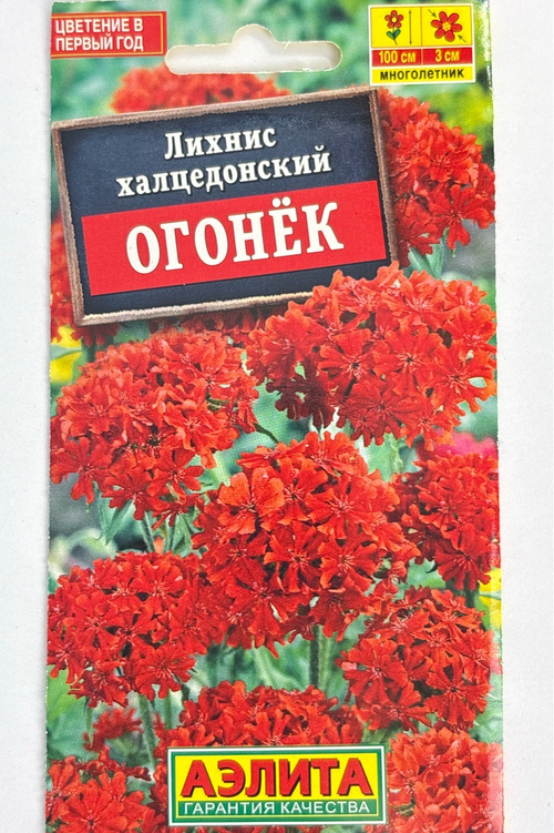 Лихнис Огонек СМЦ-542