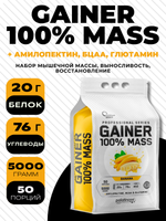100% MASS GAINER