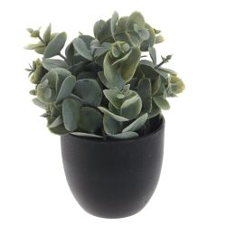 GAEM Цветочная композиция, L8 W8 H14 см