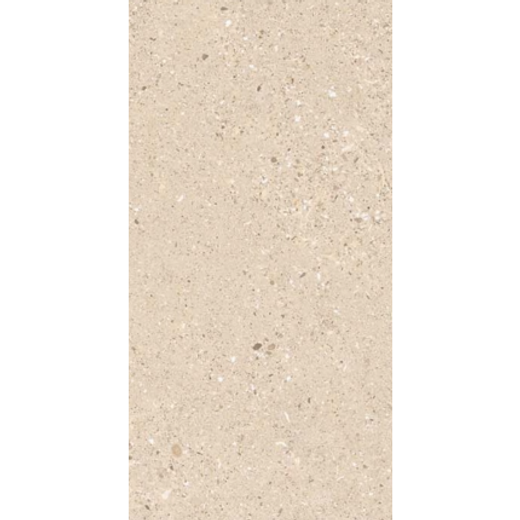 ASTRA ARENA 600*1200 керамогранит матовый