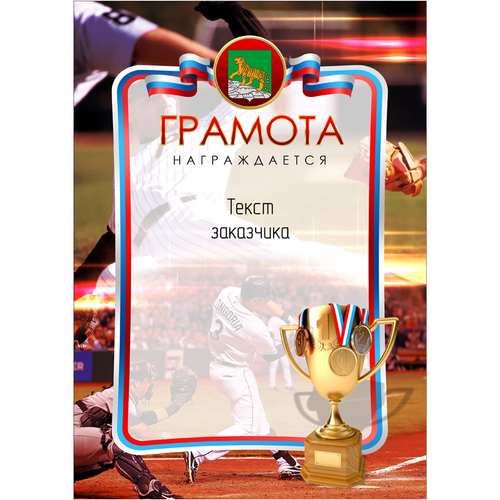 PNDiploma-040 с текстом