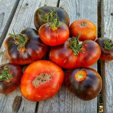 Король красоты + Р-20 (P-20 Beauty king) сорт томата