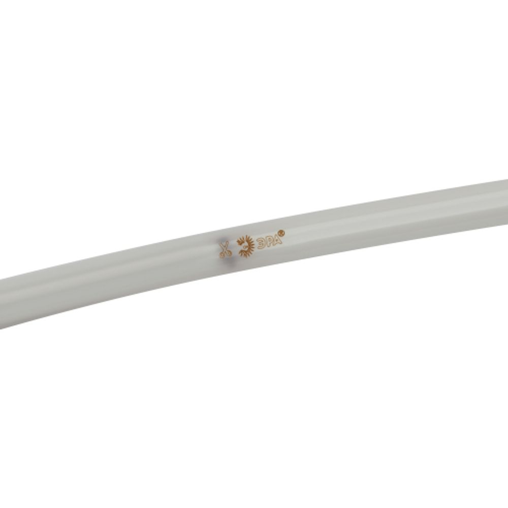 Комплект светодиодной ленты для бани и сауны ЭРА LS2835-9,6-120-24-R-IP68-5m-SET с блоком питания IP67 | Комплекты светодиодных лент