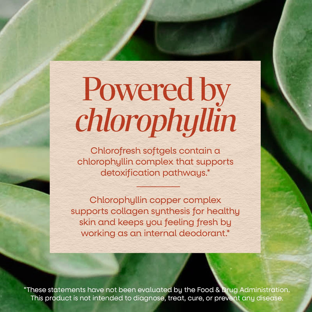 Nature's Way, Chlorofresh®, концентрат хлорофилла, 90 капсул (50 мг в 1 капсуле)