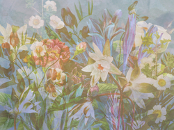 Коллекция PALEO