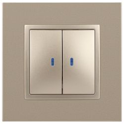 14-1105-04 ЭРА Выключатель двойной с подсветкой, 10АХ-250В, IP20, Эра Elegance, шампань