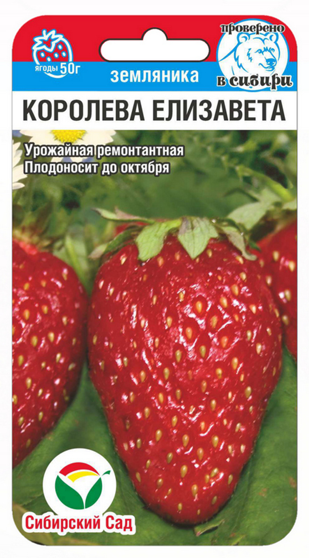 Земляника Королева Елизавета 10шт Сибсад