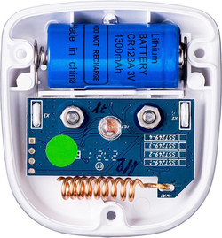 Датчик Neptun Smart 868