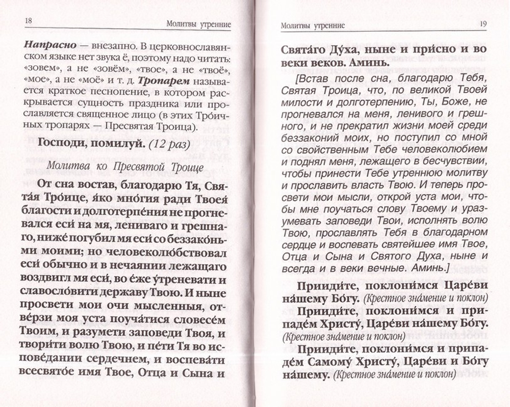 Молитвослов для новоначальных. Перевод и объяснение утренних и вечерних молитв, канонов и правила ко Святому Причащению