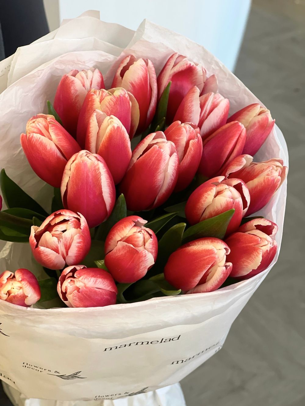 Букет из 21 классического красно-белого тюльпана