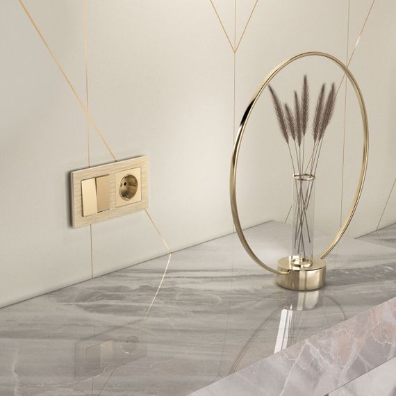 Розетка с заземлением Werkel шампань W1171011 4690389157363