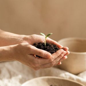 Деньги и реализация