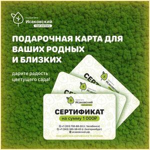 Подарочные Сертификаты