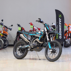 Мотоцикл кроссовый Avantis Enduro 250 EFI Exclusive (PR300/175FMM) ARS