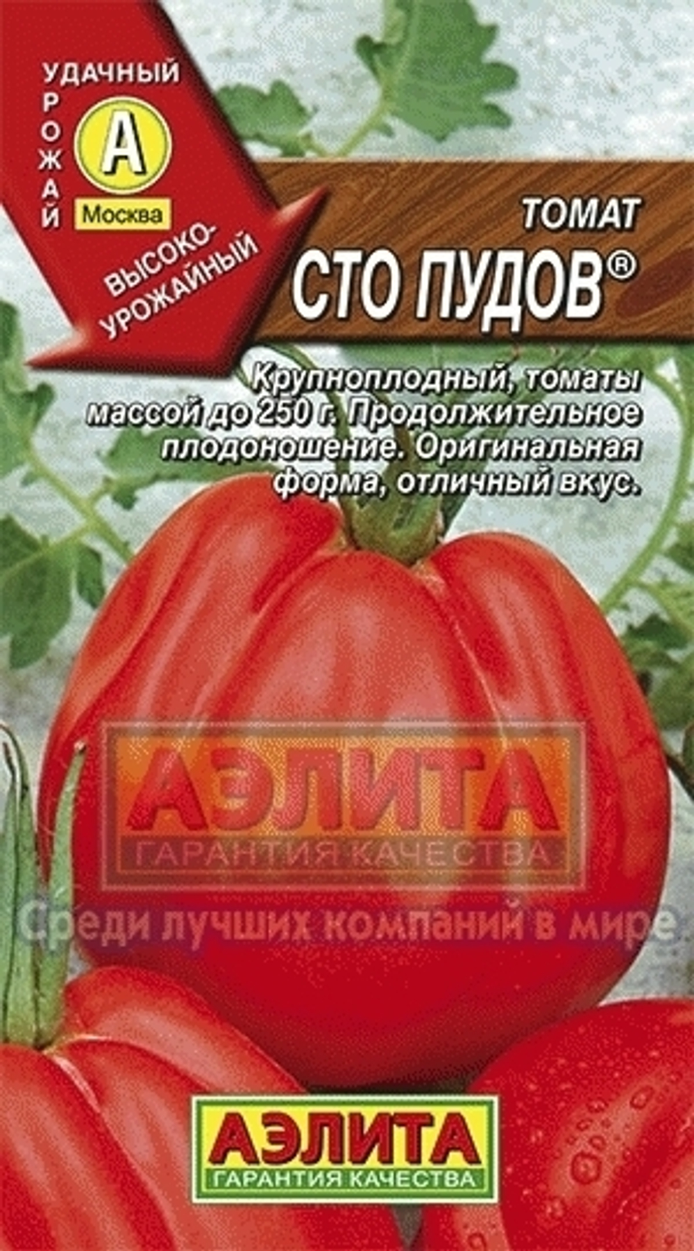 Томат Сто пудов