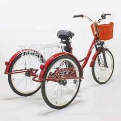 Электровелосипед Green Camel Трайк-24